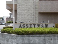 ASSET�V�v��