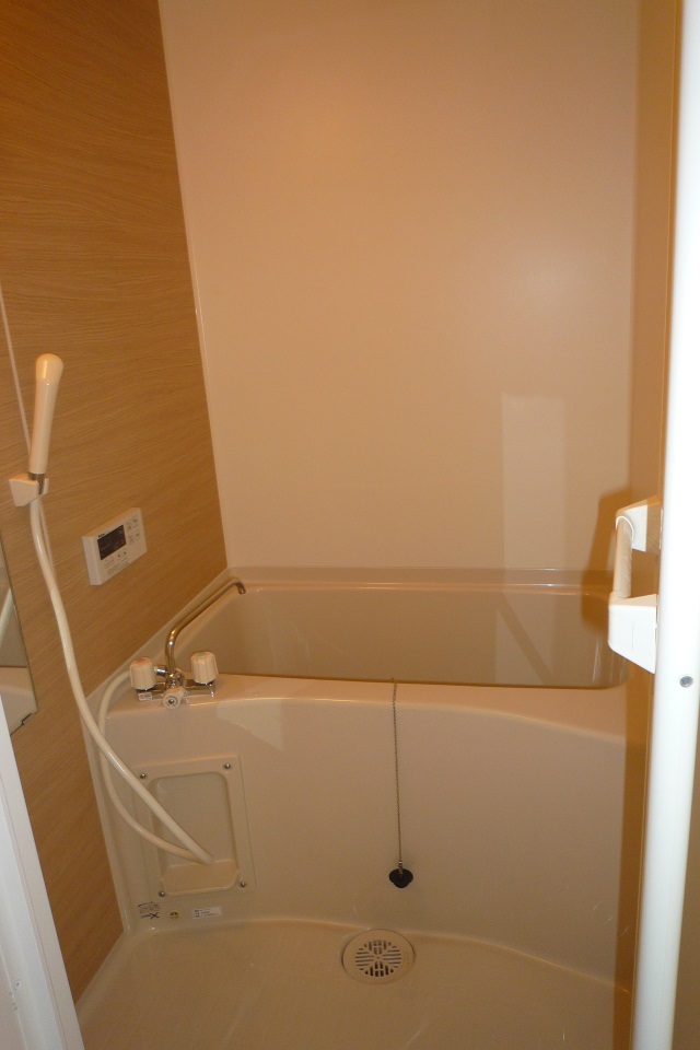 ciliegio B �^�C�v