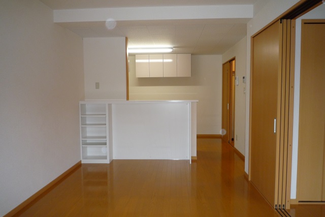 �n�C�o���[�V C