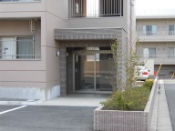 �n�C�o���[�V C